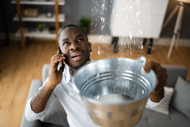 Best Commercial water damage restoration  in Jacksonville, AL