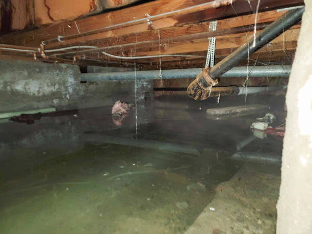 Best Water damage restoration cost  in Jacksonville, AL
