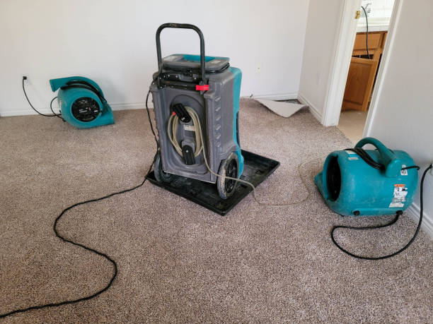 Best Flooded house restoration  in Jacksonville, AL