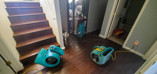 Jacksonville, AL Water damage restoration Pros