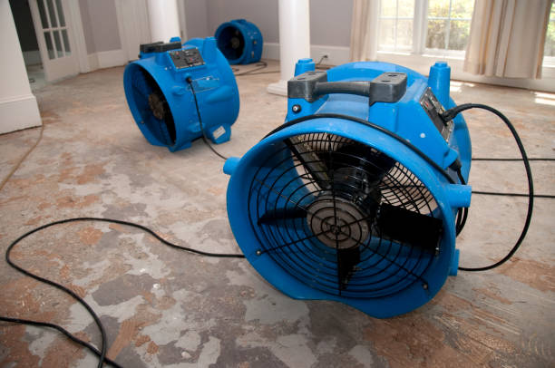 Best Sewage cleanup and water damage restoration  in Jacksonville, AL