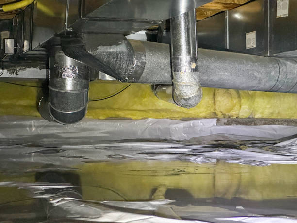 Reliable Jacksonville, AL Water damage restoration Solutions