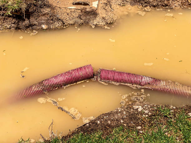Best Local water damage restoration  in Jacksonville, AL