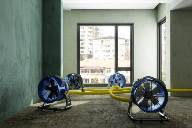 Best Local water damage restoration  in Jacksonville, AL