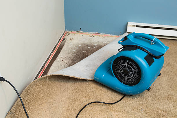 Best Water damage restoration near me  in Jacksonville, AL